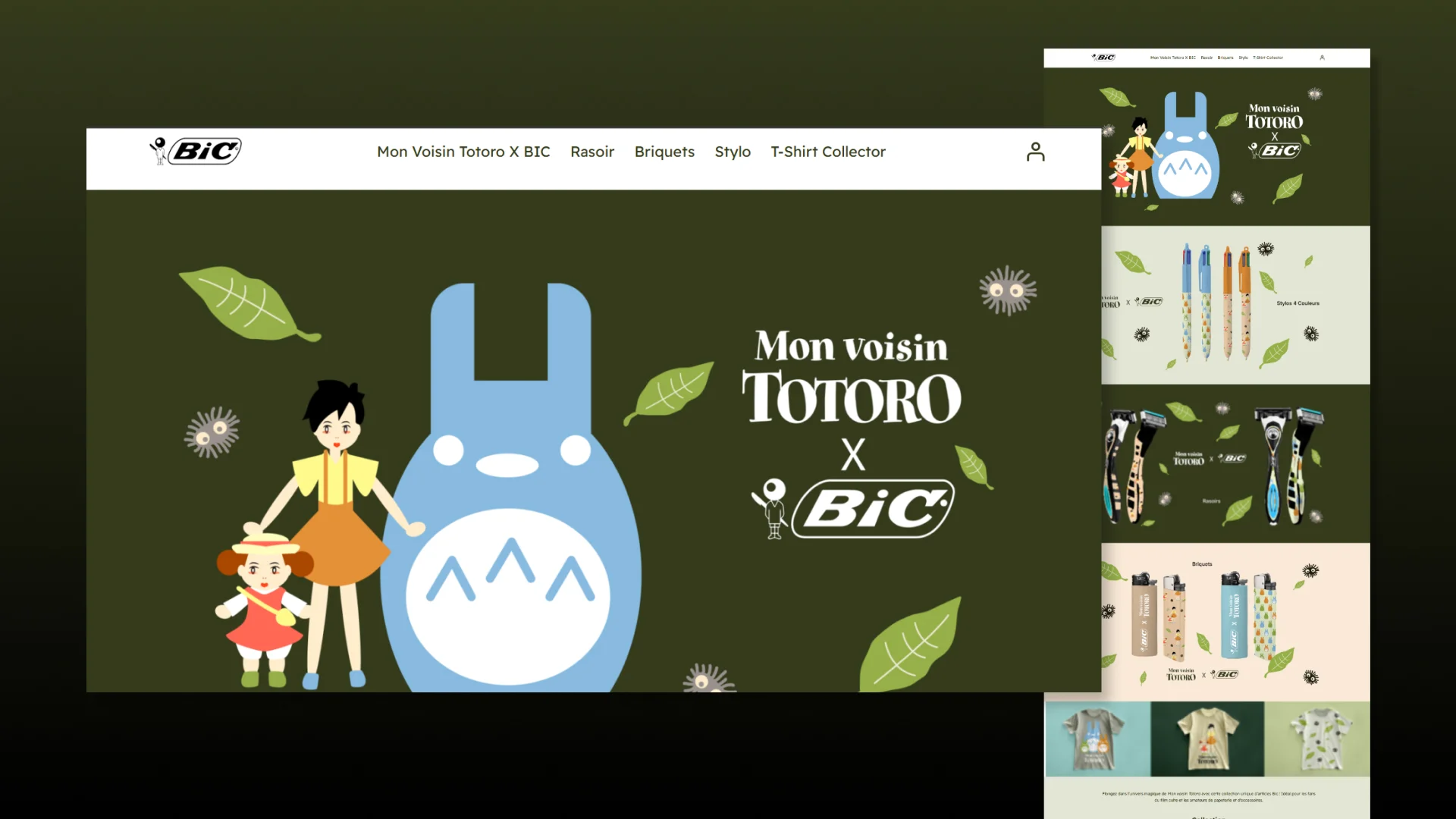 fond header site mon voisin totoro