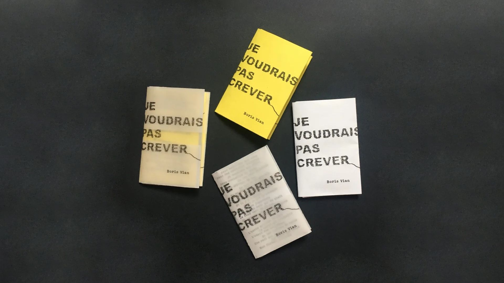 dépliant poéme je voudrais pas crever