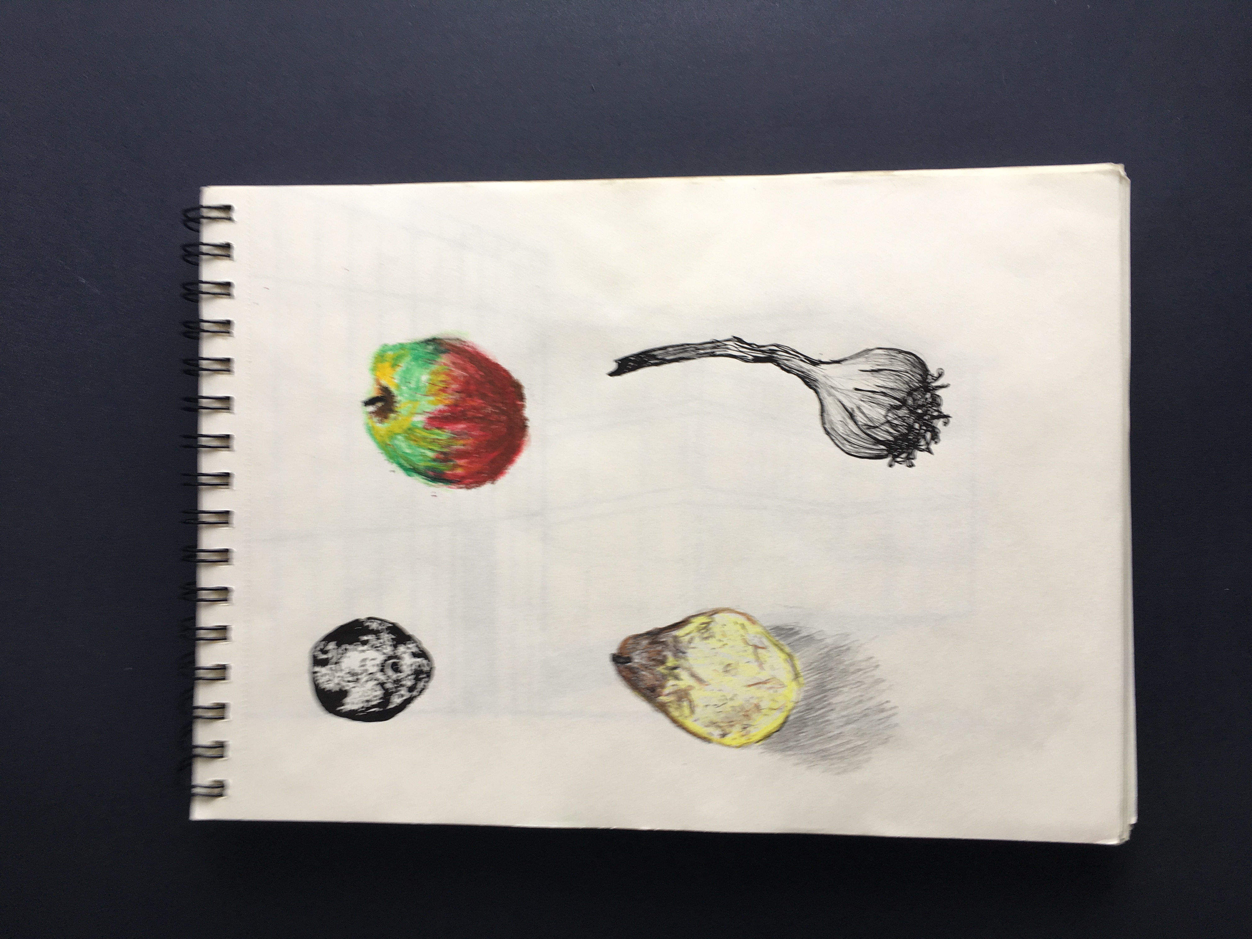 dessins observation natures mortes