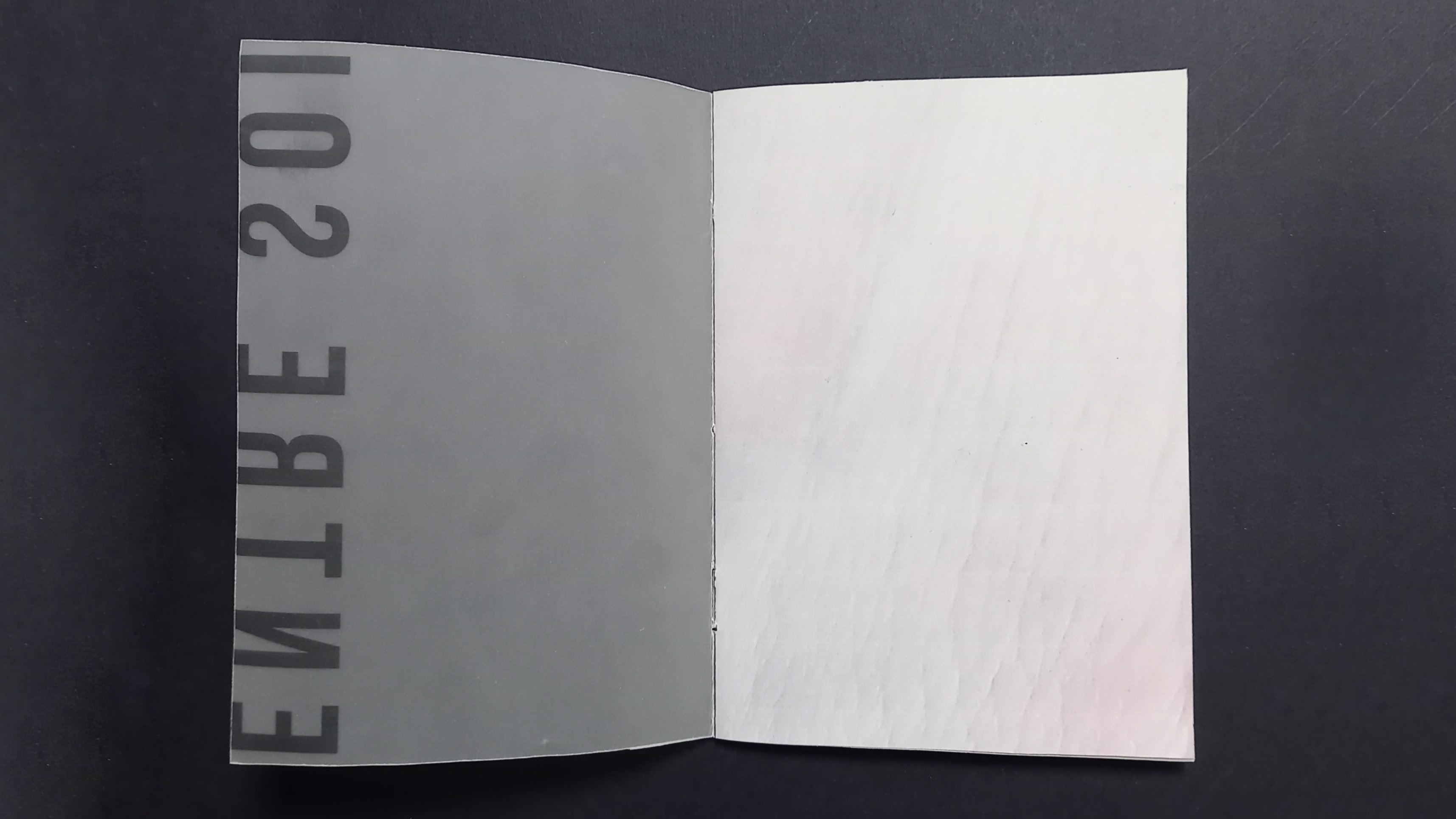 carnet ouvert première page zoom peau