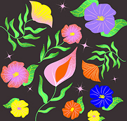 illustrations fleurs