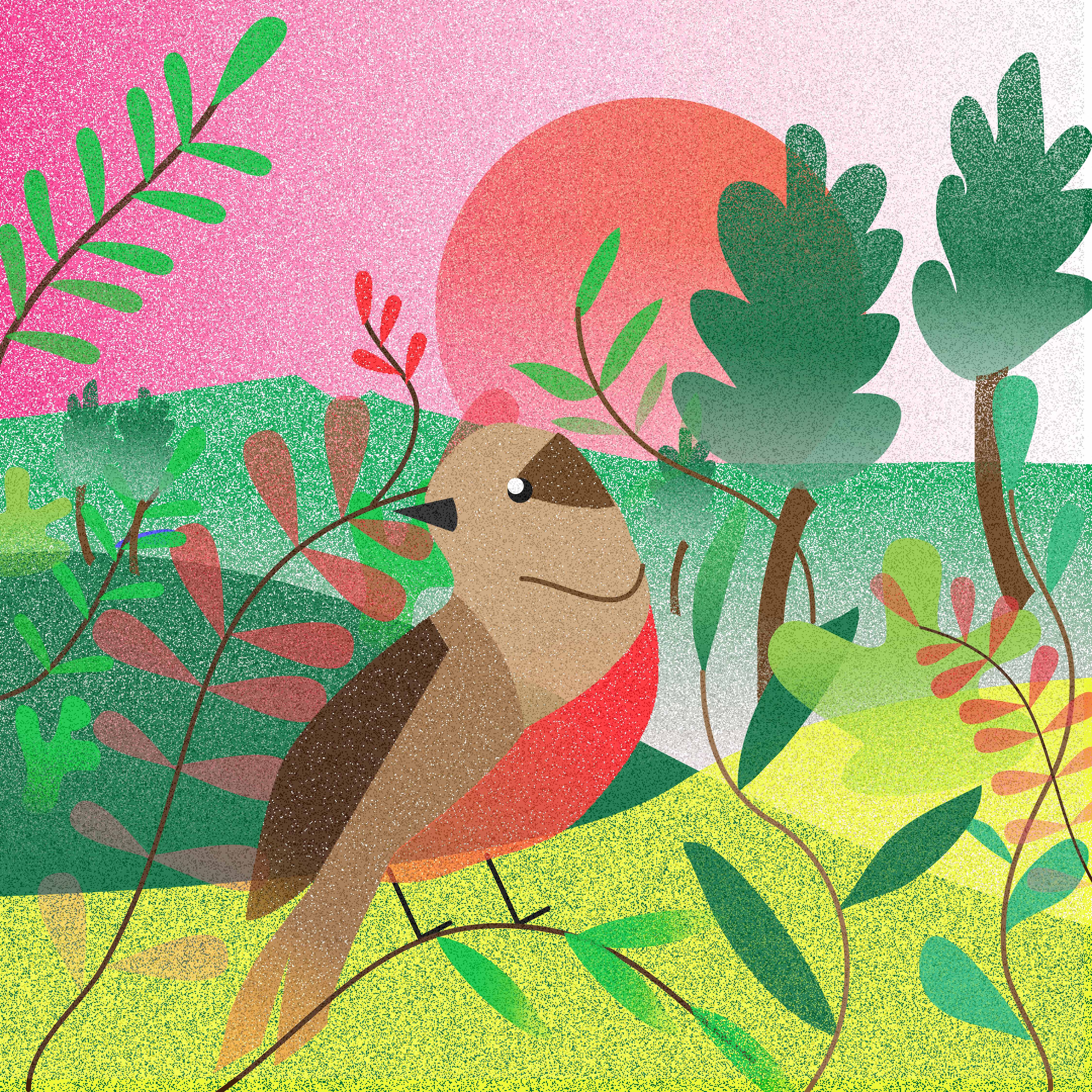 oiseau dans la nature