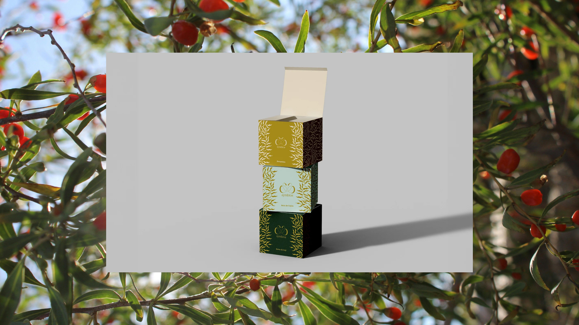 3 boîtes empillées différentes symbios